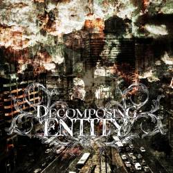 Decomposing Entity : Decomposing Entity - Promo 2012